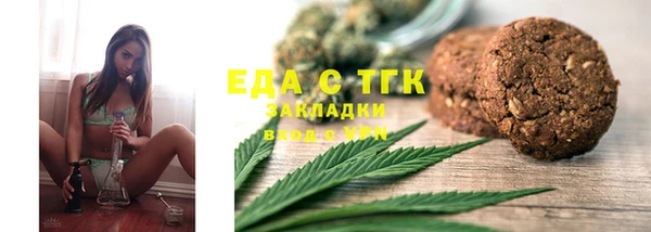 индика Горнозаводск