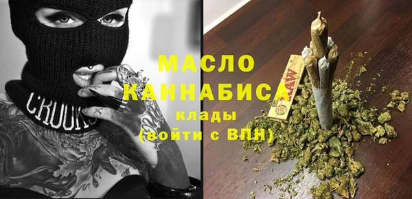 индика Горнозаводск
