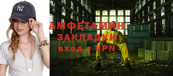 индика Горнозаводск