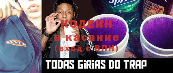 индика Горнозаводск